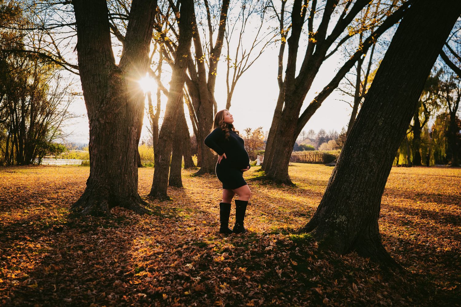 Person standing among autumn trees in a sunlit park with golden fallen leaves covering the ground.