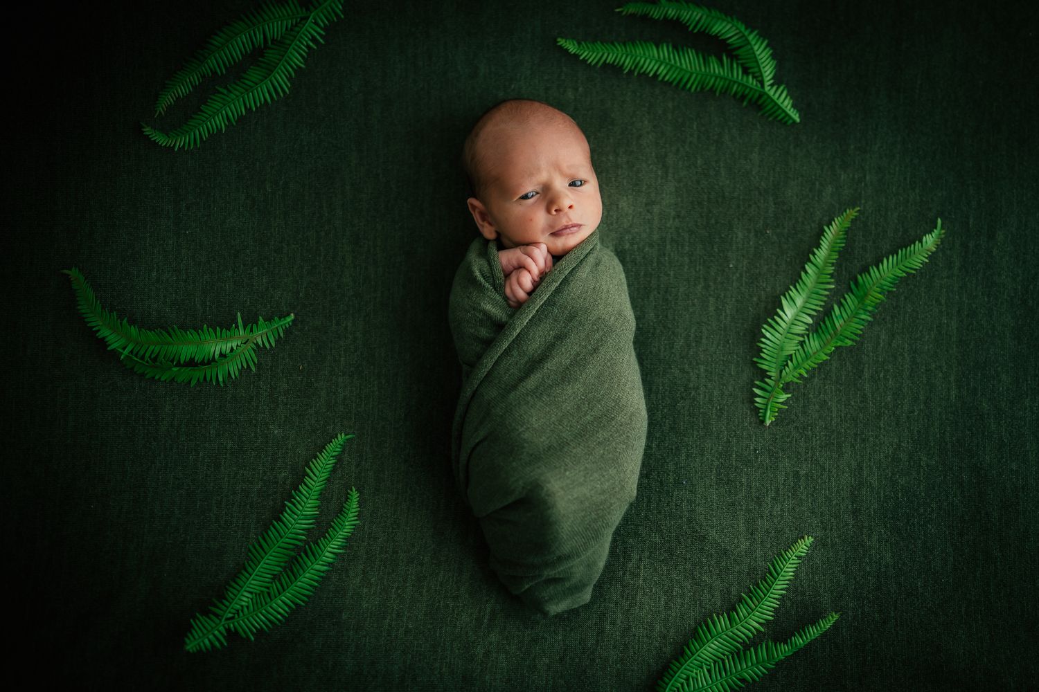 Sleeping newborn wrapped in green swaddle surrounded by fern leaves on dark background.