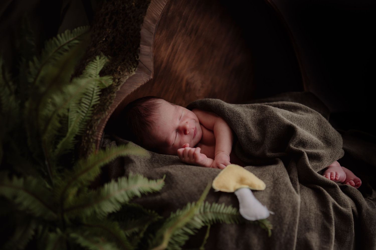 Sleeping newborn nestled in dark toned setting with natural foliage accents.