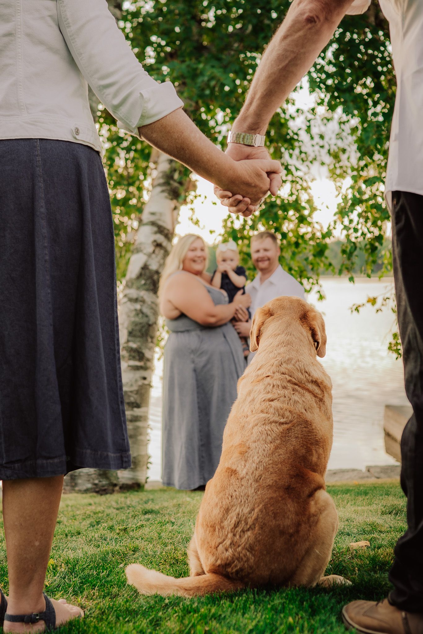 Golden retriever sits attentively on grass during an outdoor family session.