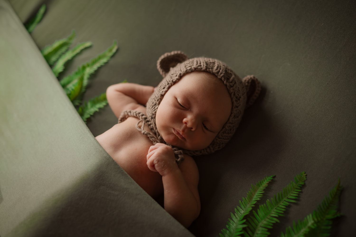 Newborn baby sleeping peacefully wearing a brown knit bear bonnet hat, surrounded by green ferns on a sage backdrop.
