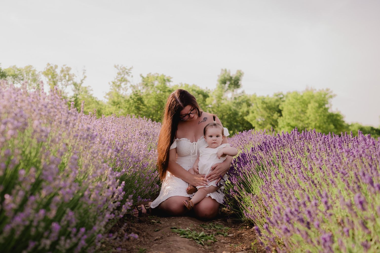 Romantic scene in a blooming purple lavender field on a sunny summer day.