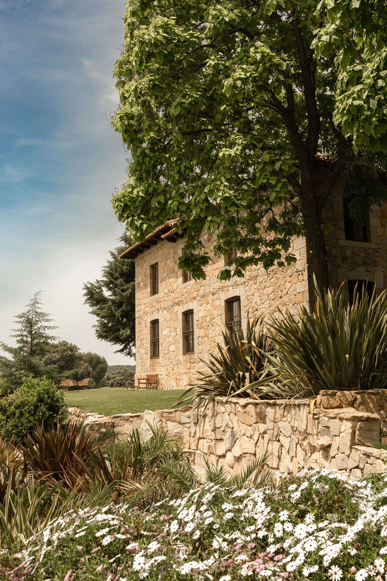 Stone villa with white daisies blooming in garden under blue summer sky.
