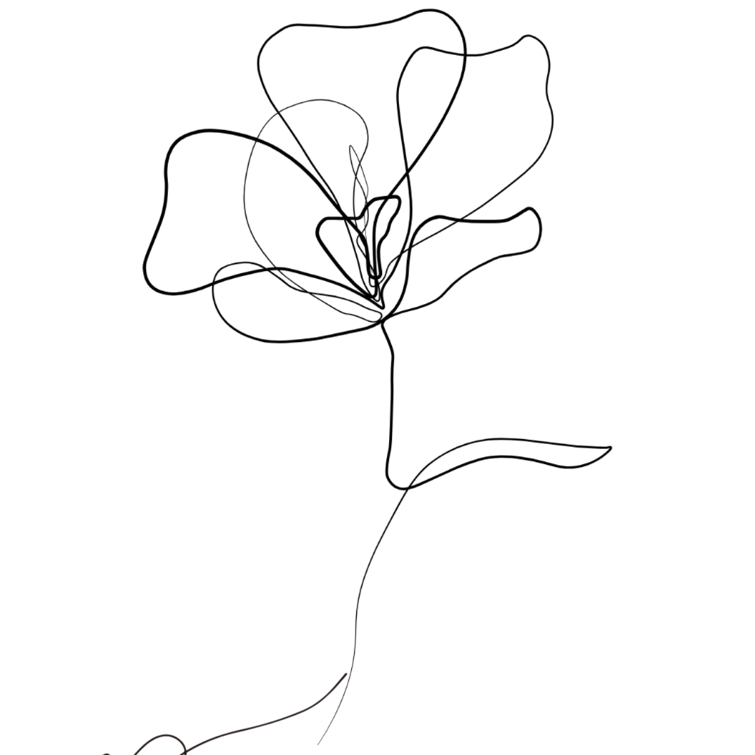 Simple line drawing of a hand-drawn floral pattern with curved stems and leaves in black ink on white background.