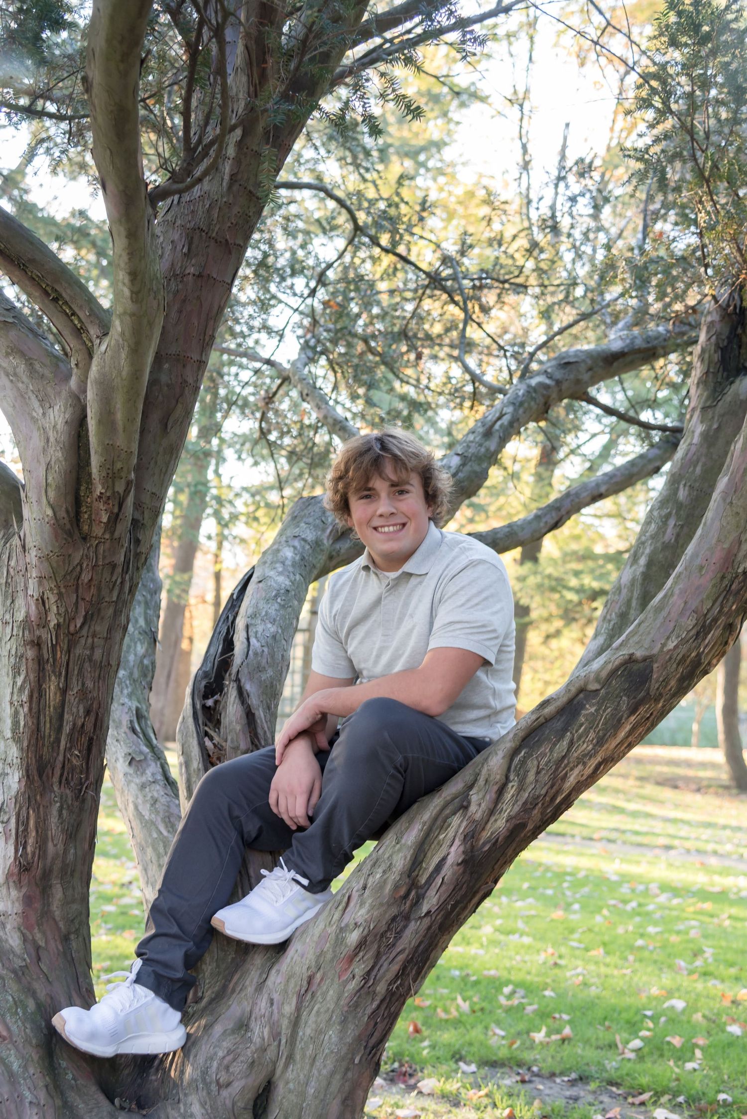 Person sits casually in large tree branches during autumn photoshoot.