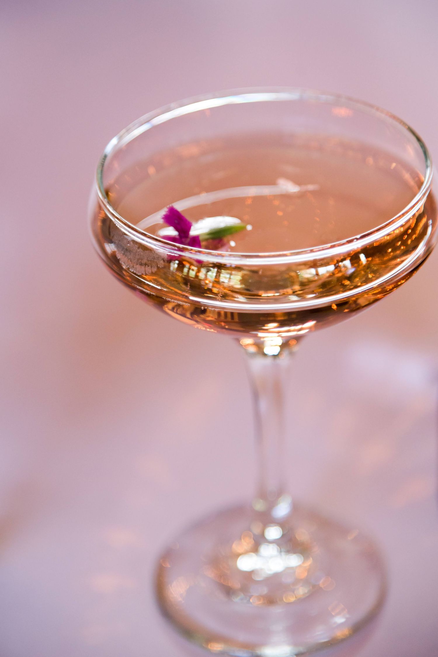 Pink cocktails garnished with edible flowers in coupe glasses on a soft blurred background.