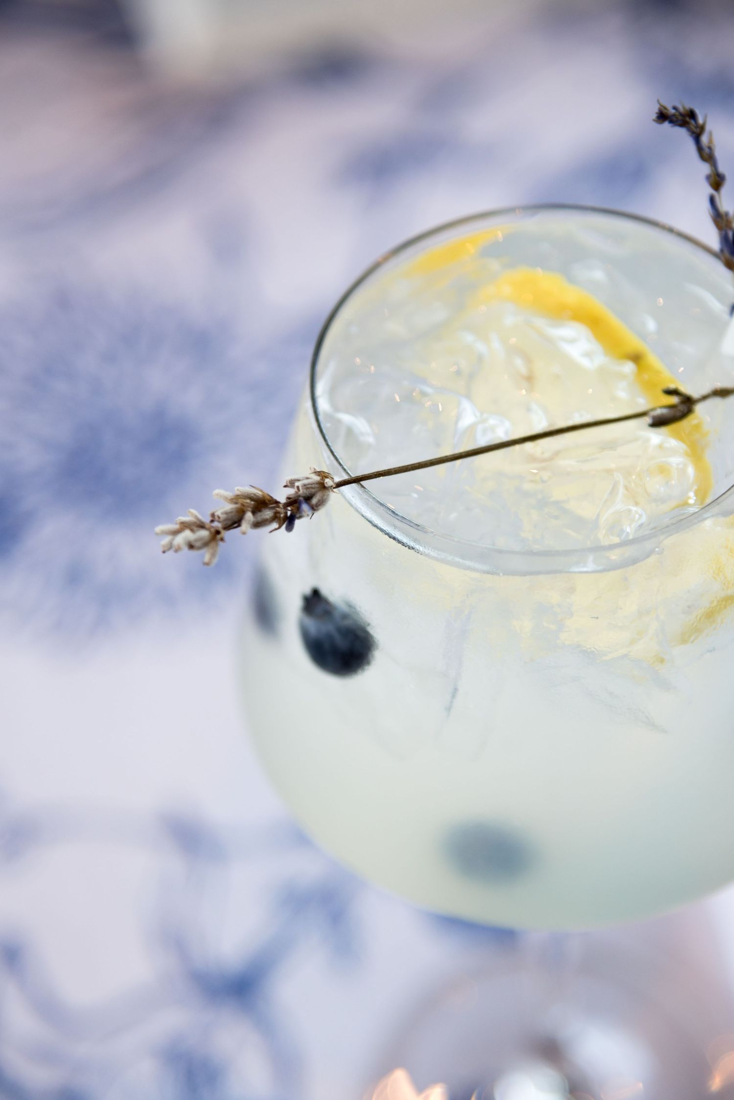 Citrus cocktail with lemon garnish in a coupe glass against a blue background.
