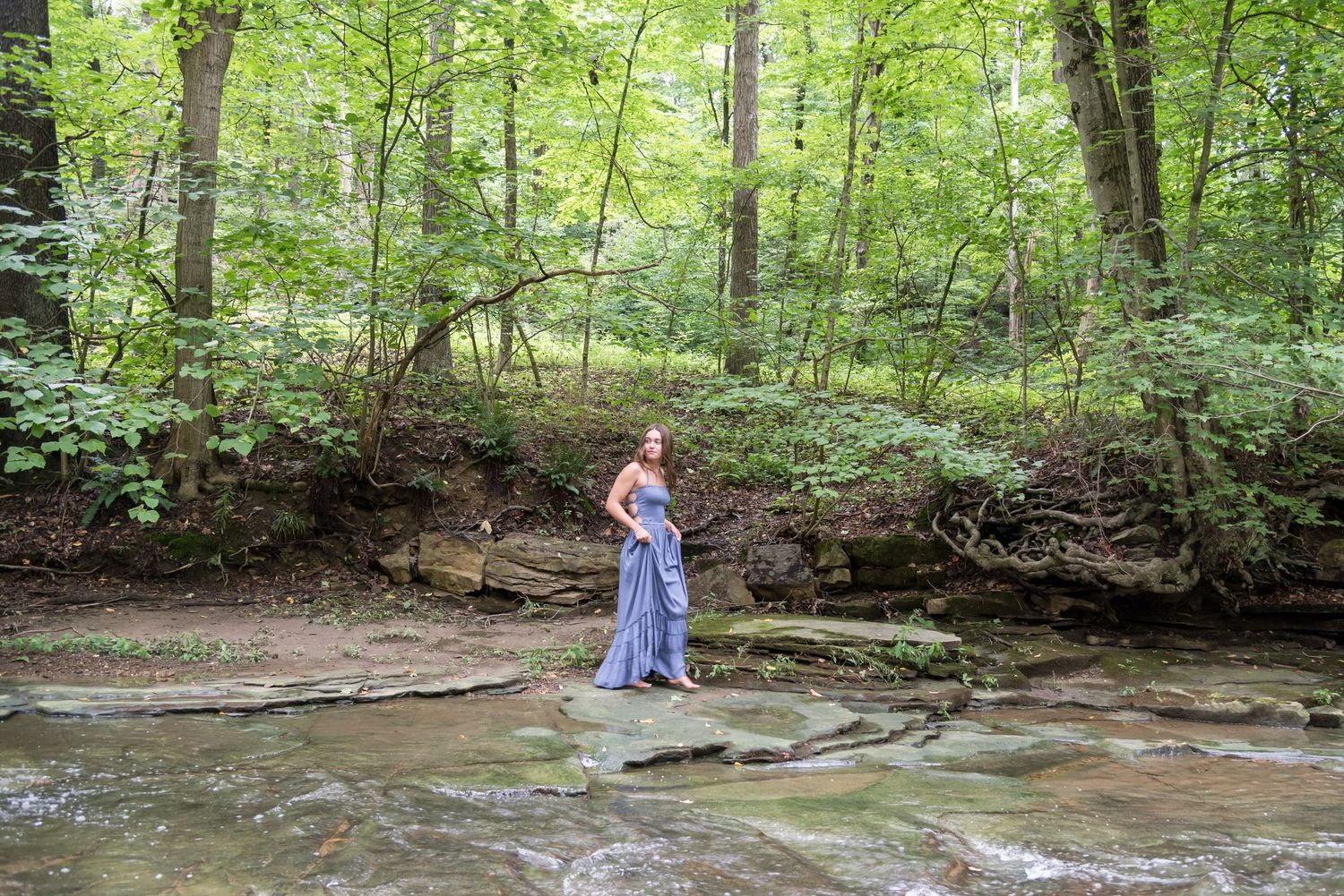 A scenic creek flows through a lush green forest with sunlight filtering through the trees.