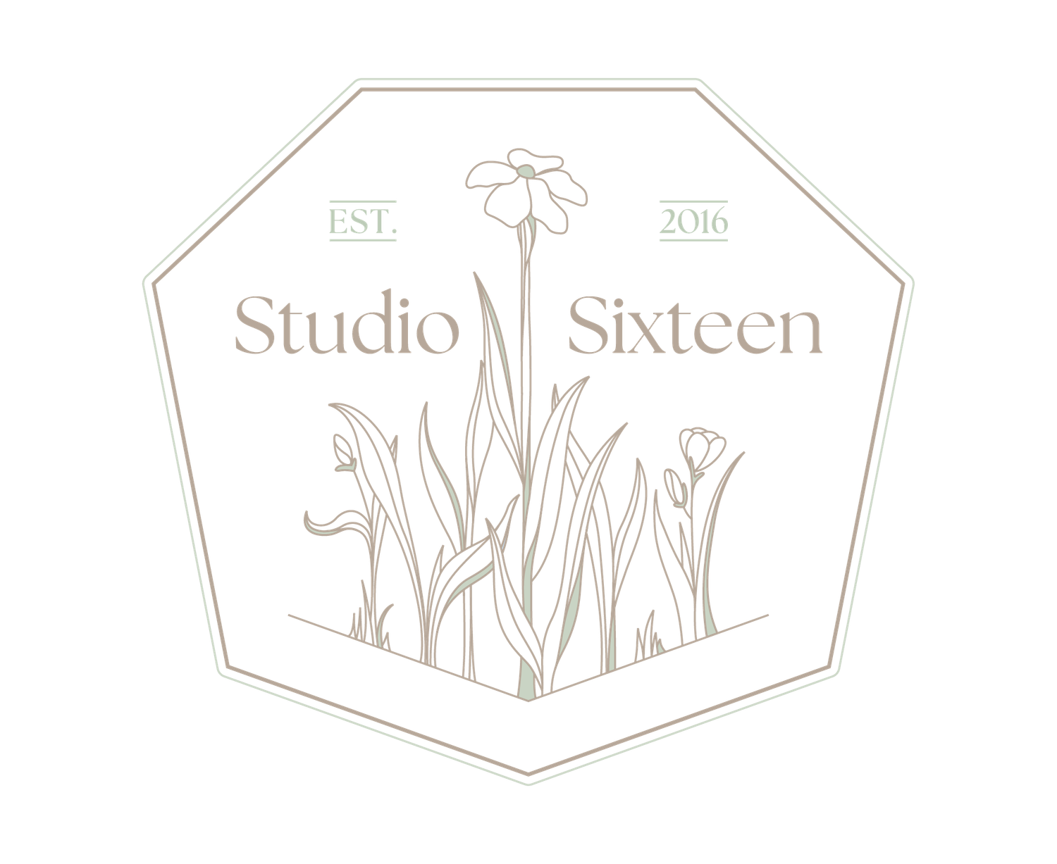Studio Sixteen logo design with floral elements in hexagonal frame.