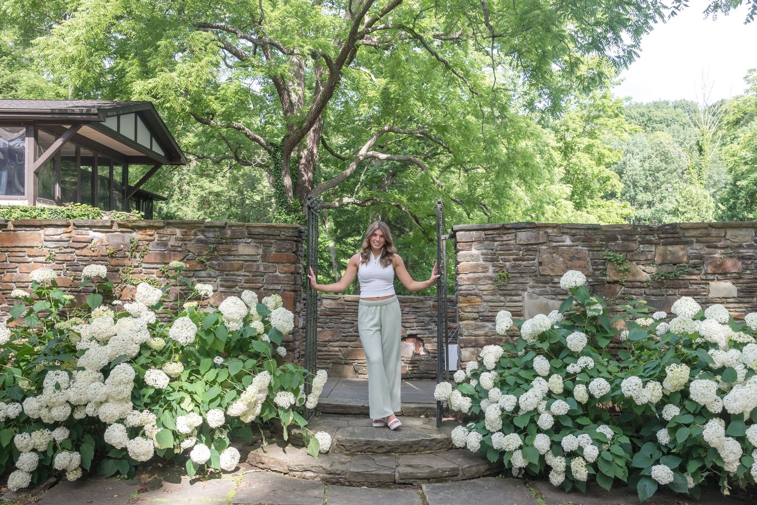 Stone wall garden setting with white hydrangea flowers and greenery creating an elegant outdoor backdrop.
