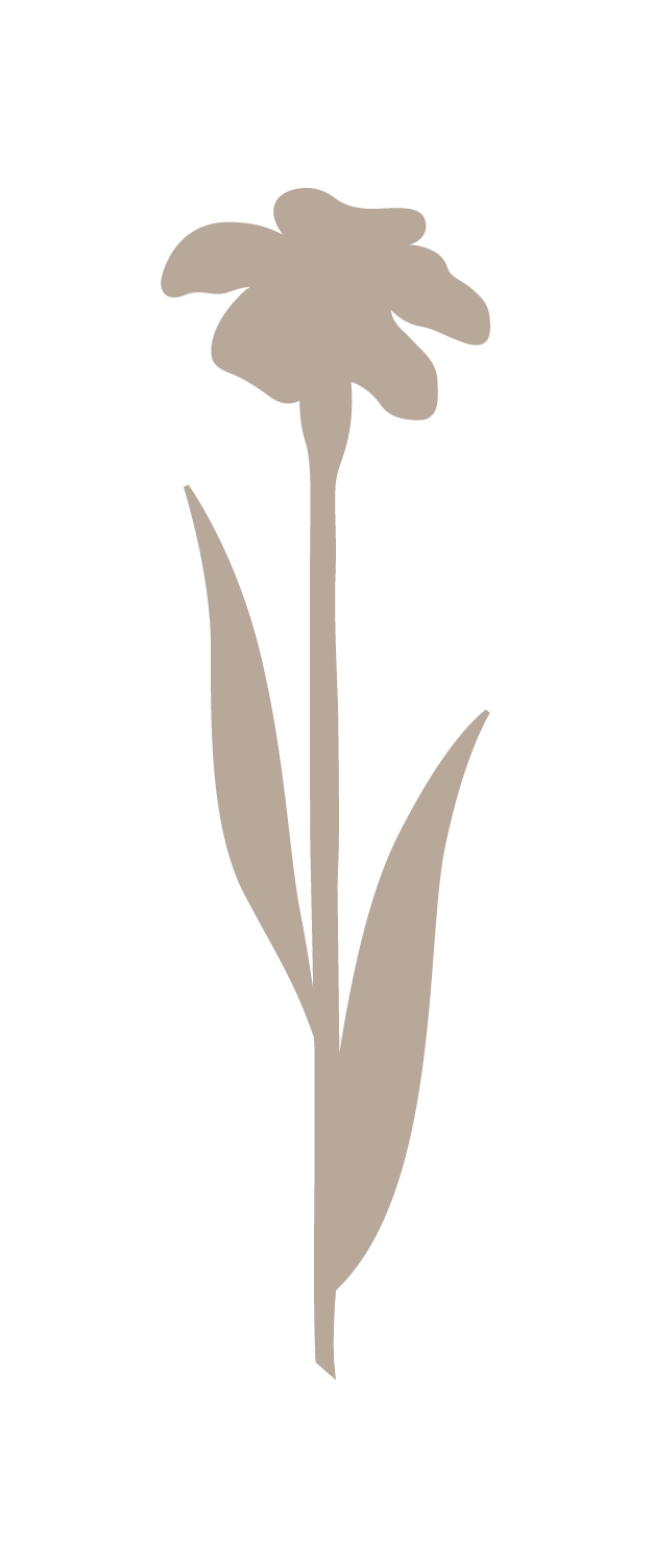 A series of simple silhouettes showing calla lily flowers in a light beige color against a white background.