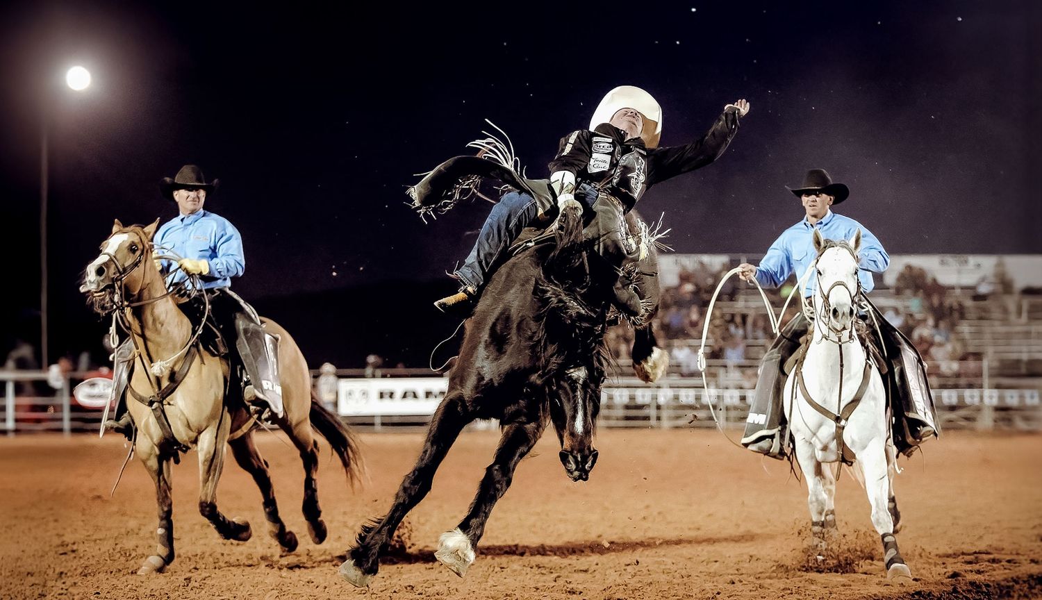 Cowboys and horses compete in a rodeo arena at night under bright floodlights. Bronc riding. Western Editorial Lifestyle Photography.