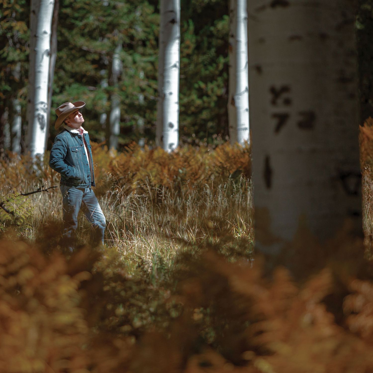 Photographer in blue shirt among autumn-colored aspen trees.