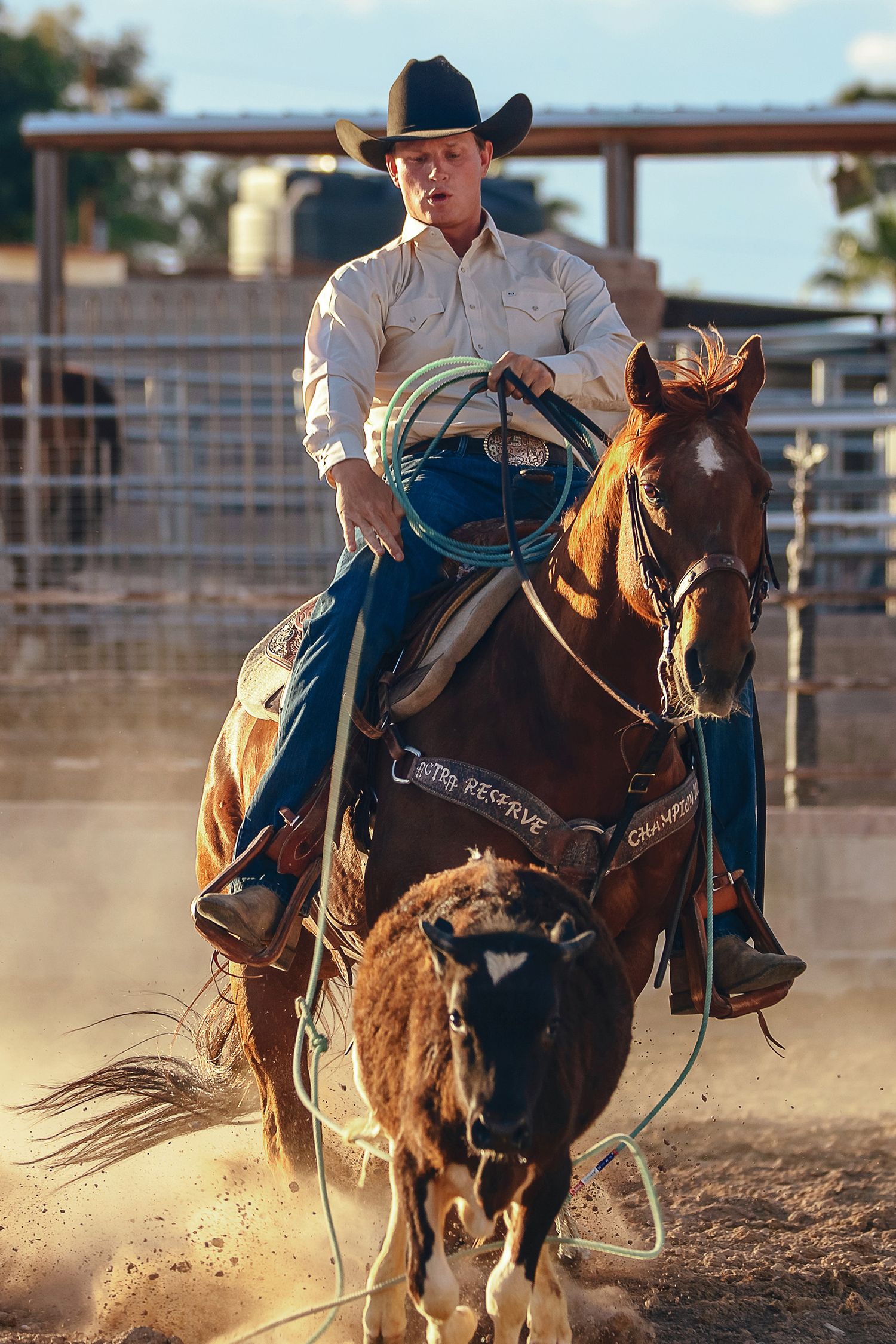 Dynamic rodeo calf roper rider on horseback kicking up dust in an arena during competition. Product Lifestyle Photography