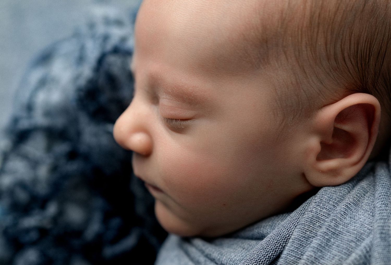 Hatched Newborn Photography, Madison WI