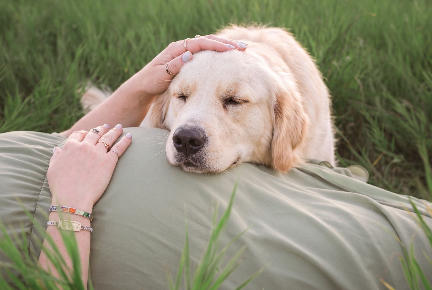 Maternity photos, Madison WI with dog