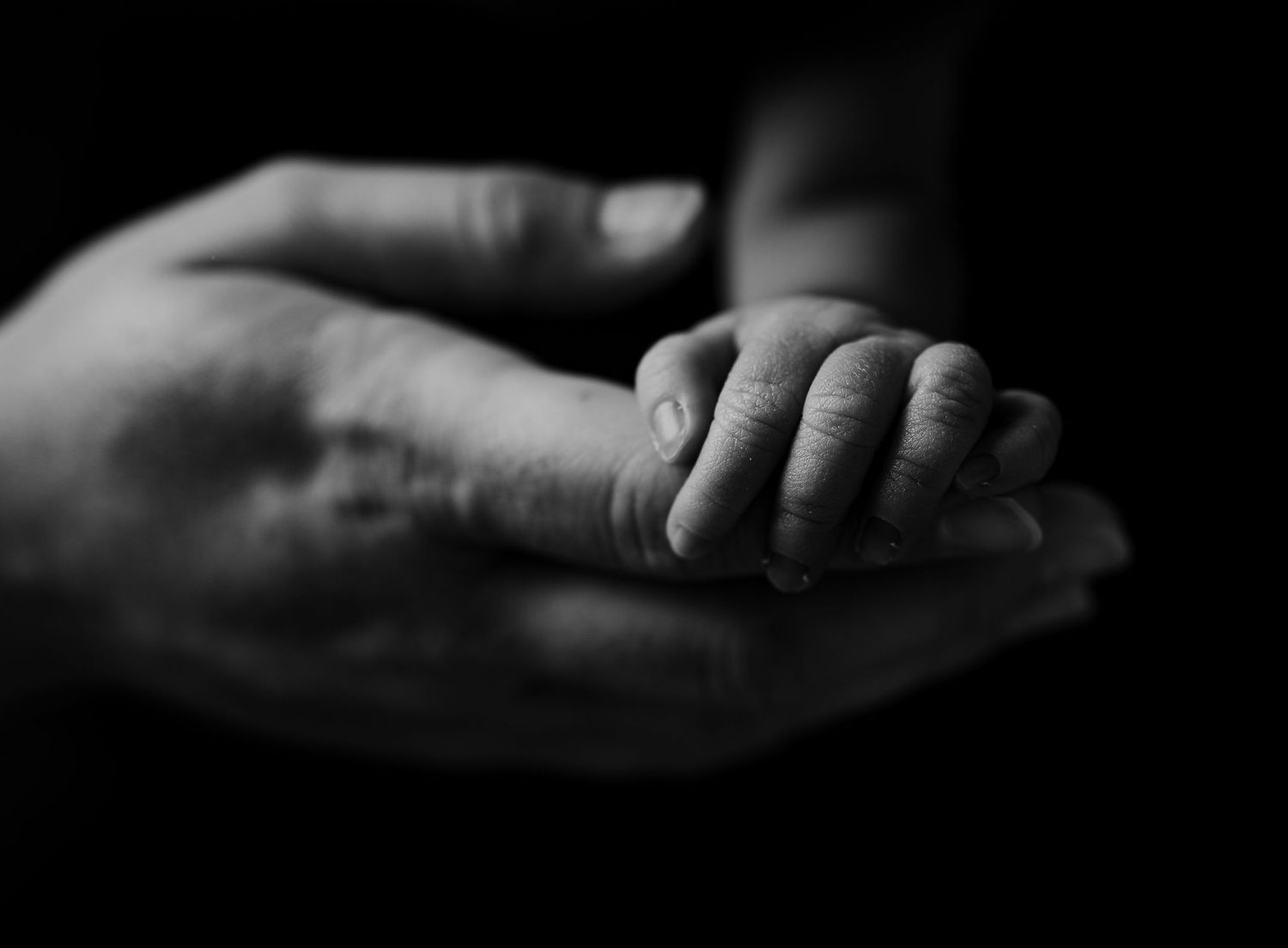 Baby's tiny hand holding her mother's hand. Verona, Wi. Hatched Newborns.