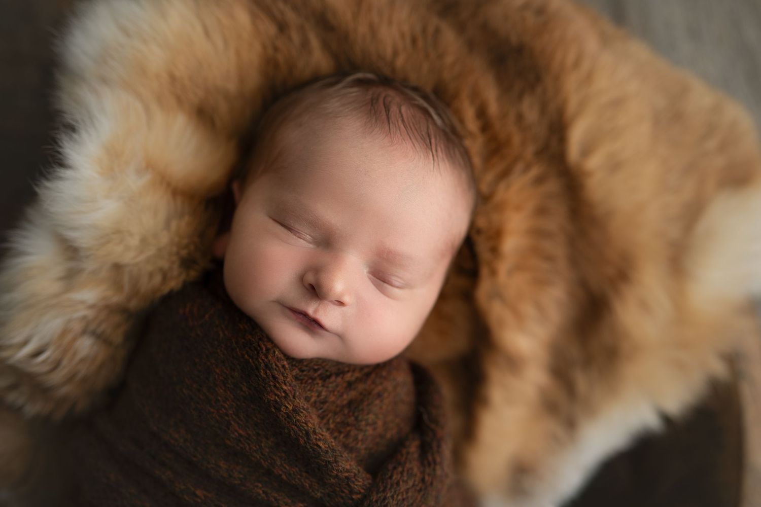 Beautiful fall photo of a baby boy in brown.