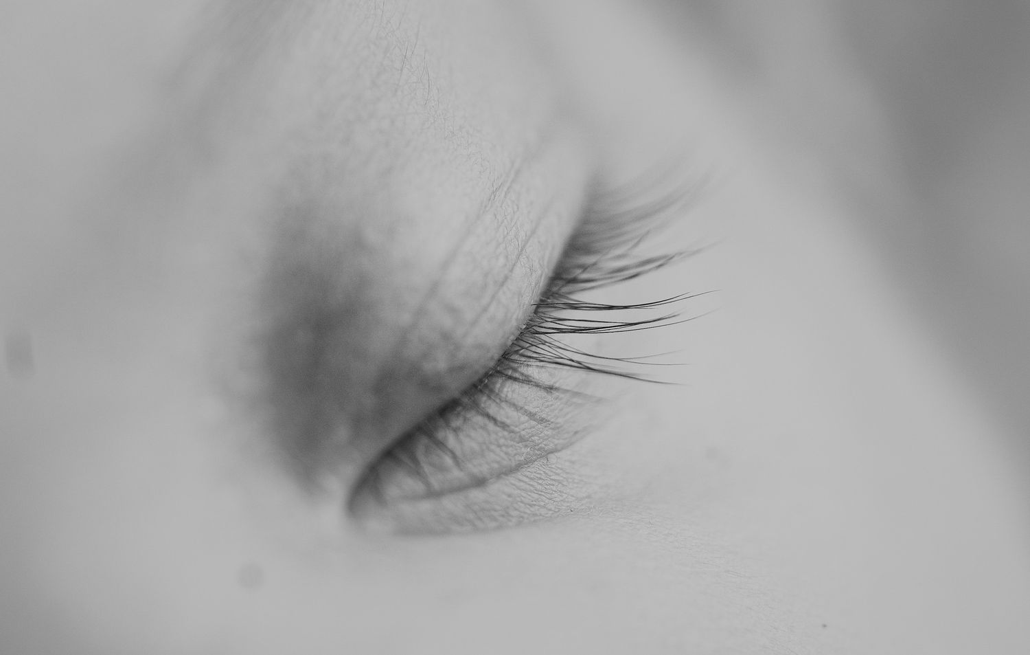 close up photo of newborn baby eyelashes. Madison, WI baby pictures.