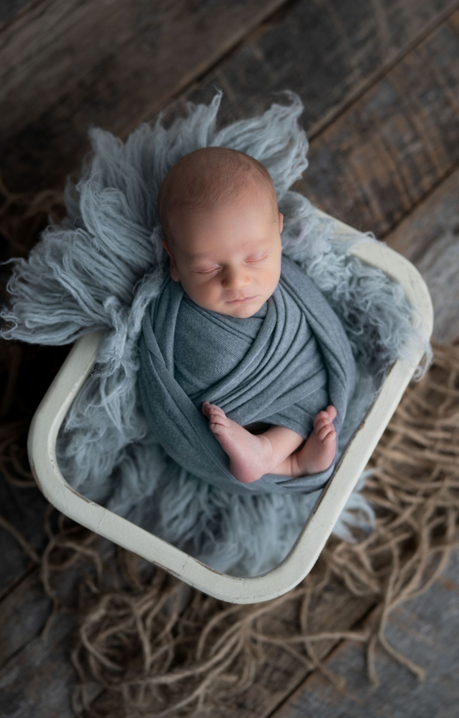 Hatched Newborn Photography, Madison WI