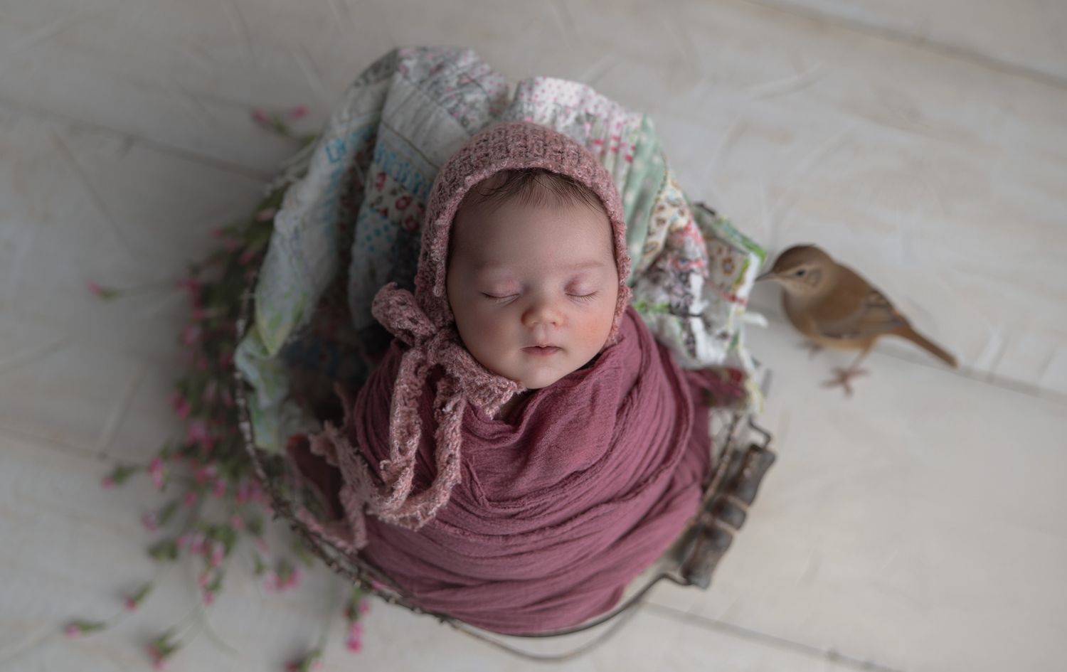Wisconsin family, baby and child photography in Madison.