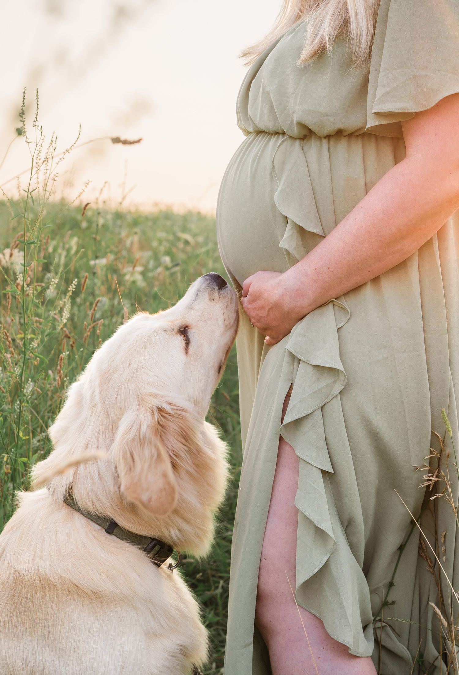Maternity photos, Madison WI