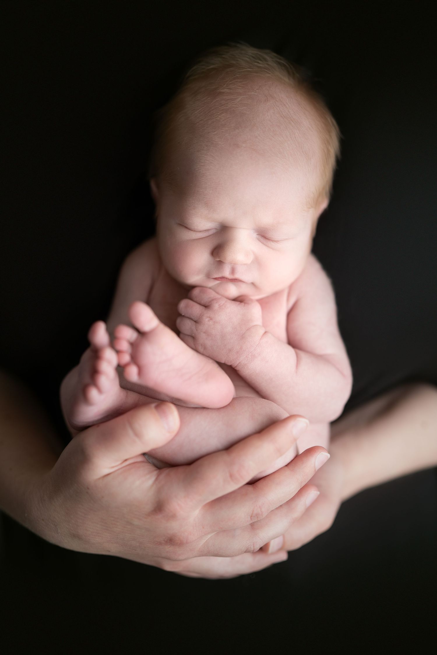 Baby snuggled in parent's hands. Newborn photo. Hatched Newborns. Madison, Mount Horeb, Verona, Middleton, Wisconsin.