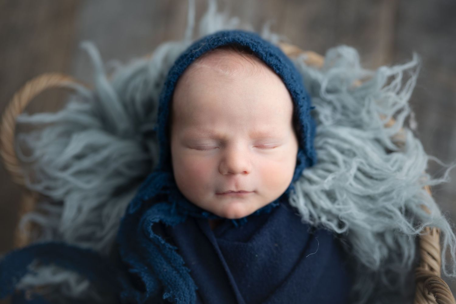 Hatched Newborn Photography, Madison WI