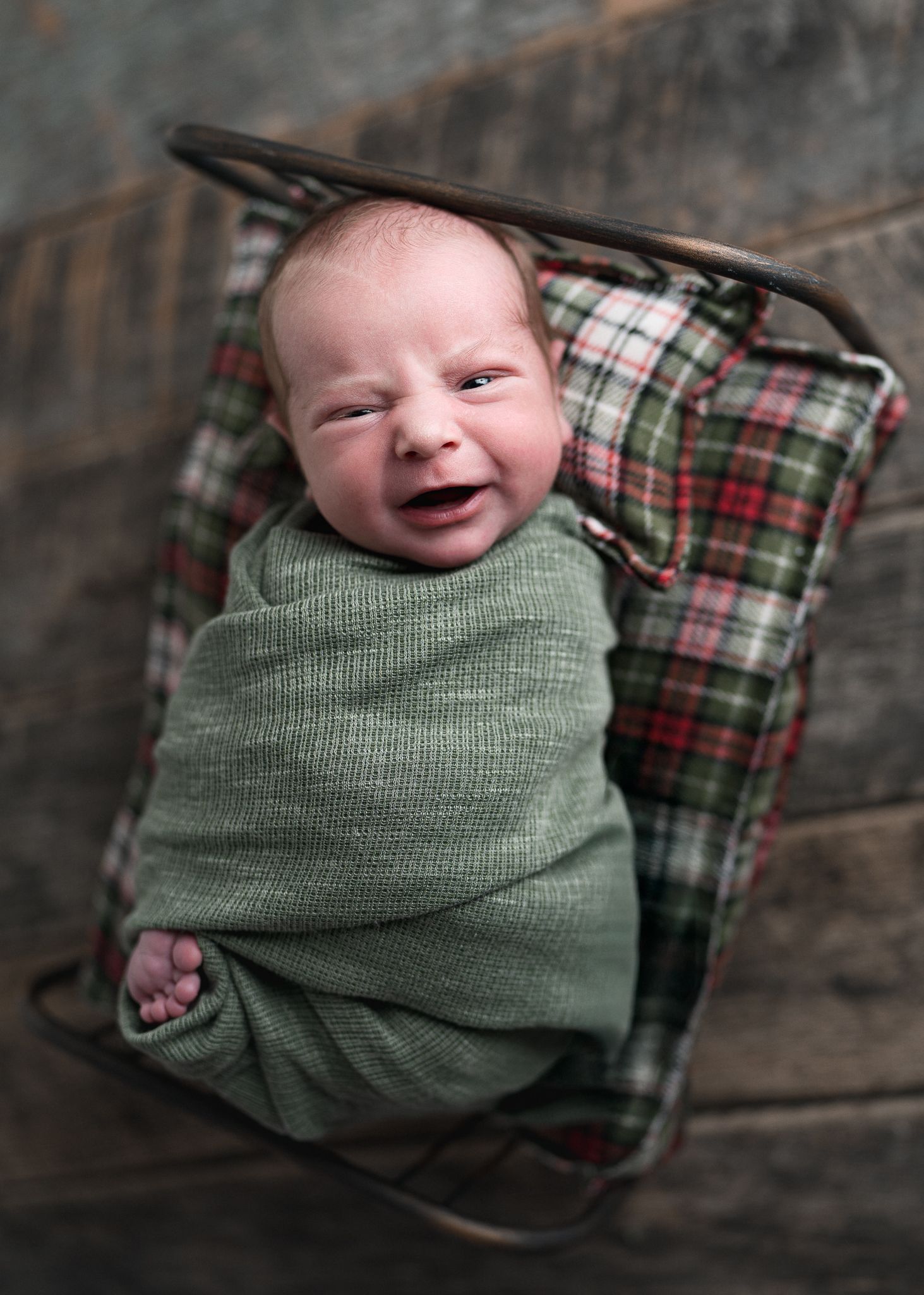 Holiday Image of a newborn. Hatched Newborns. Madison, Mount Horeb, Verona, Middleton, Sun Prairie, Wisconsin