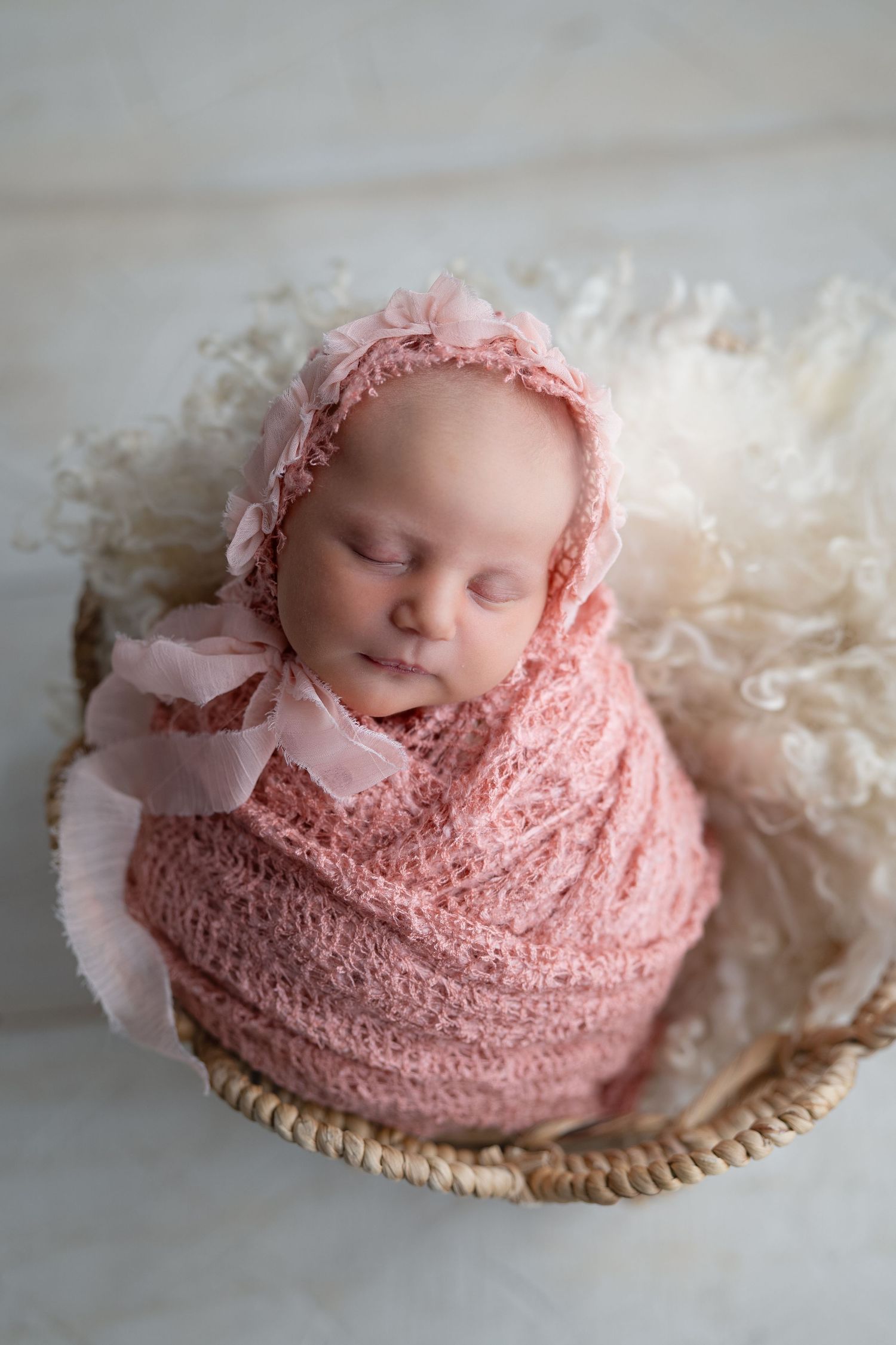 Hatched Newborn Photography, Madison WI