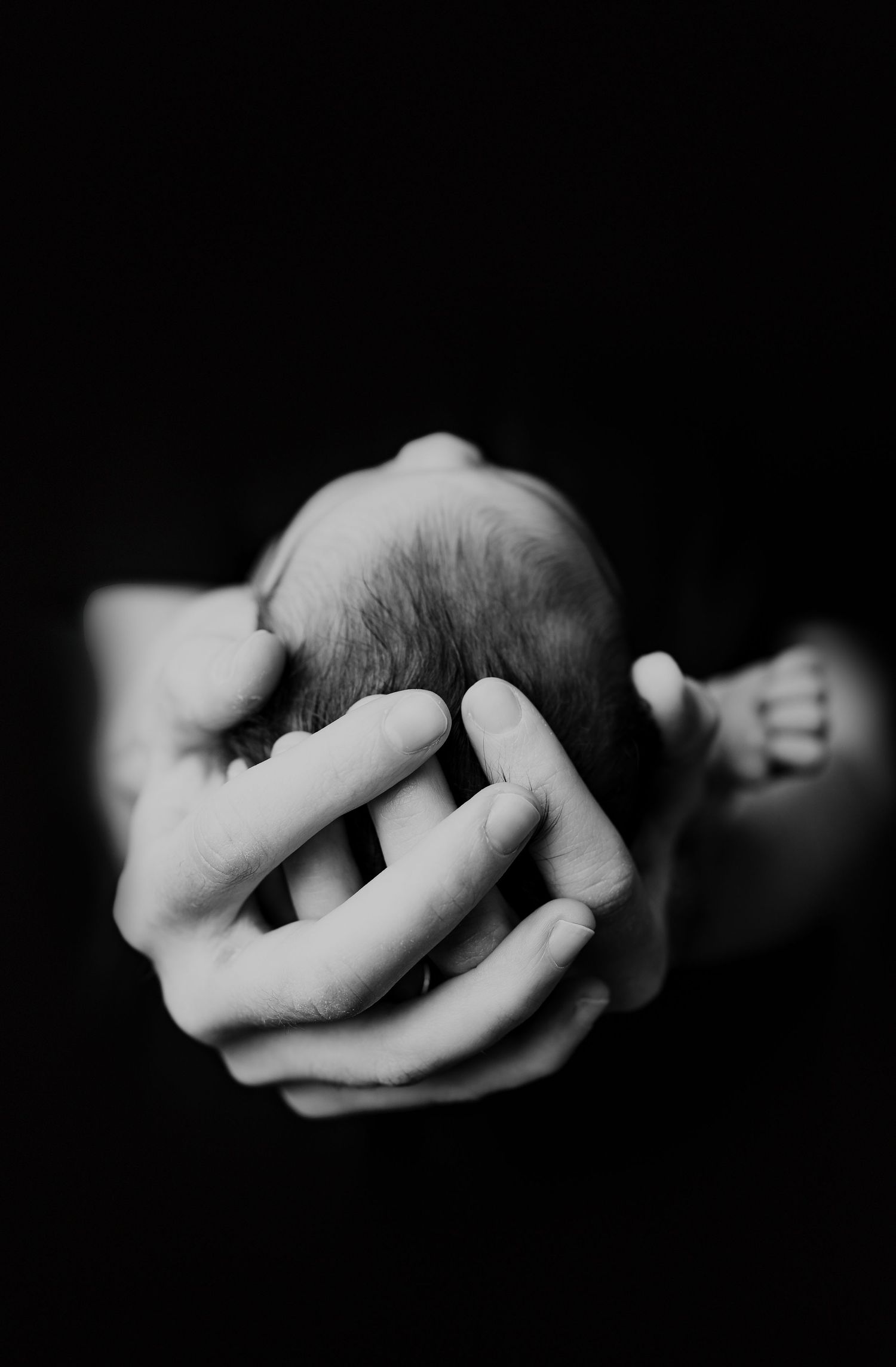 Baby in father's hands. Maternity Photography by Hatched Photography, Serving Madison, Verona, Mount Horeb, Middleton, Sun Prairie