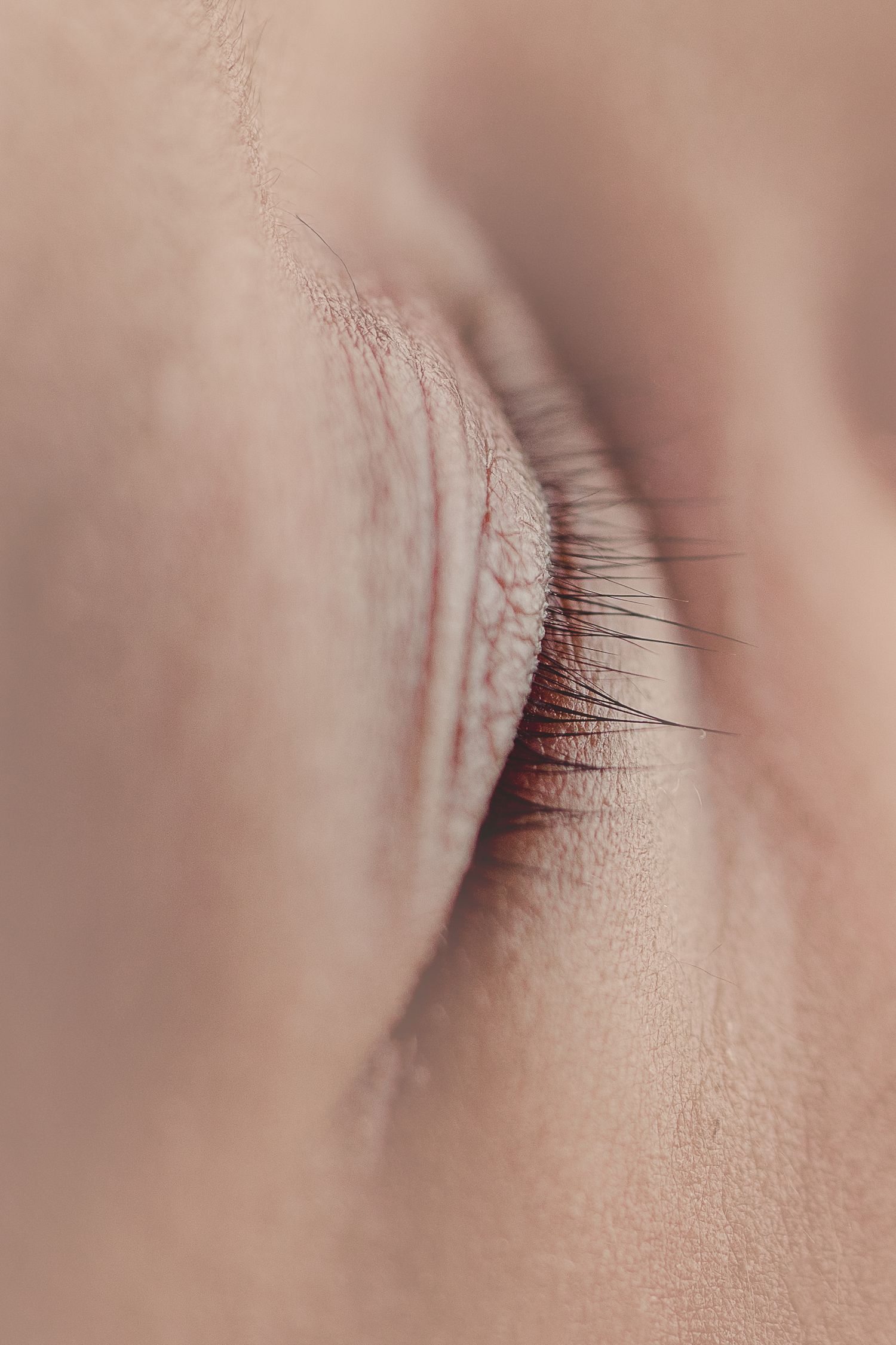 Macro image of baby eyelashes. Madison, WI and Verona, WI