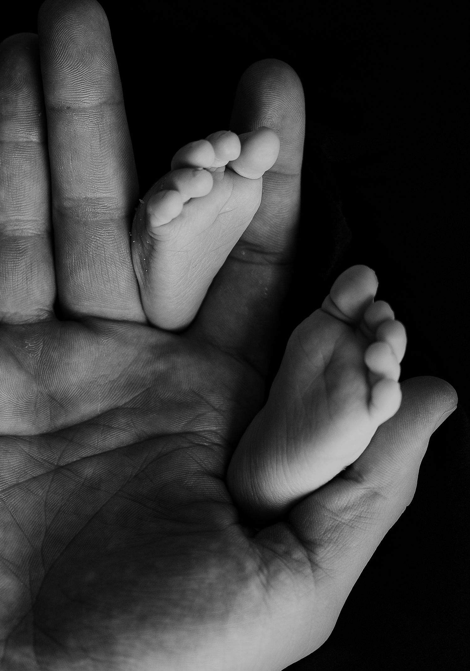 Baby photos. Dramatic black and white. Newborn photo. Hatched Newborns. Madison, Mount Horeb, Verona, Middleton, Wisconsin.