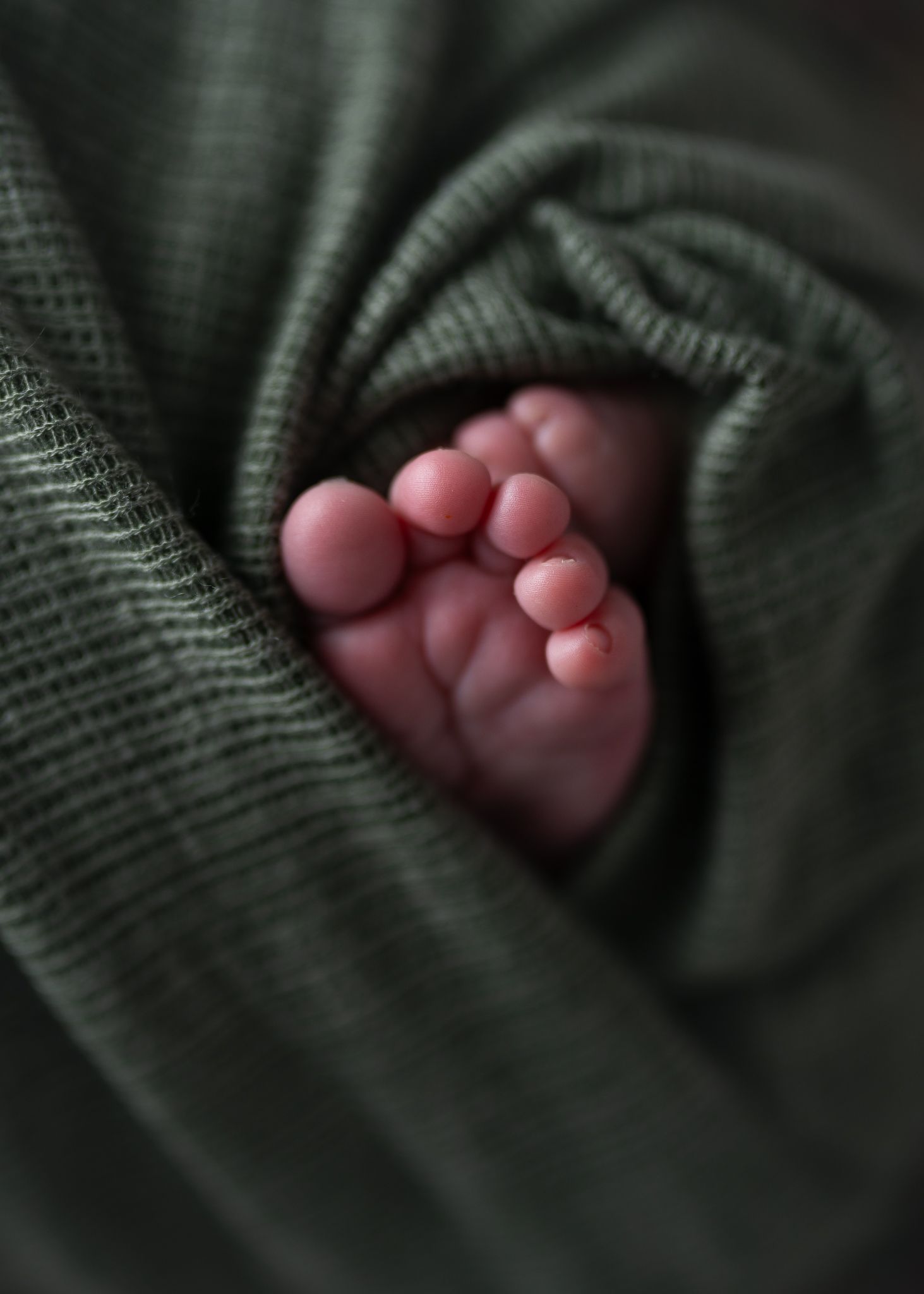 Adorable baby toes wrapped in green. Hatched Newborns. Madison, Mount Horeb, Verona, Middleton, Sun Prairie, Wis