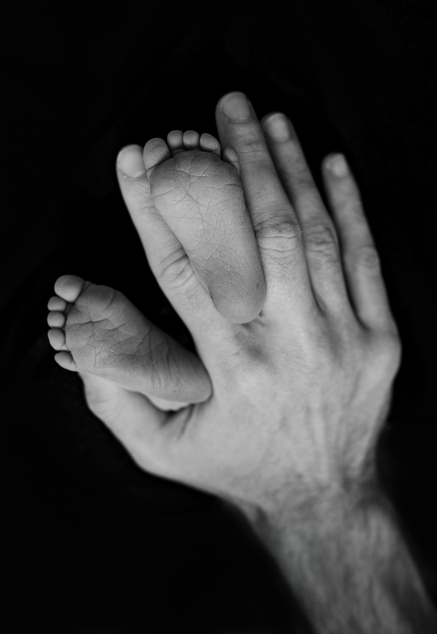 Black and White dramatic newborn photo. Hatched Newborns. Madison, Mount Horeb, Verona, Middleton, Wisconsin.