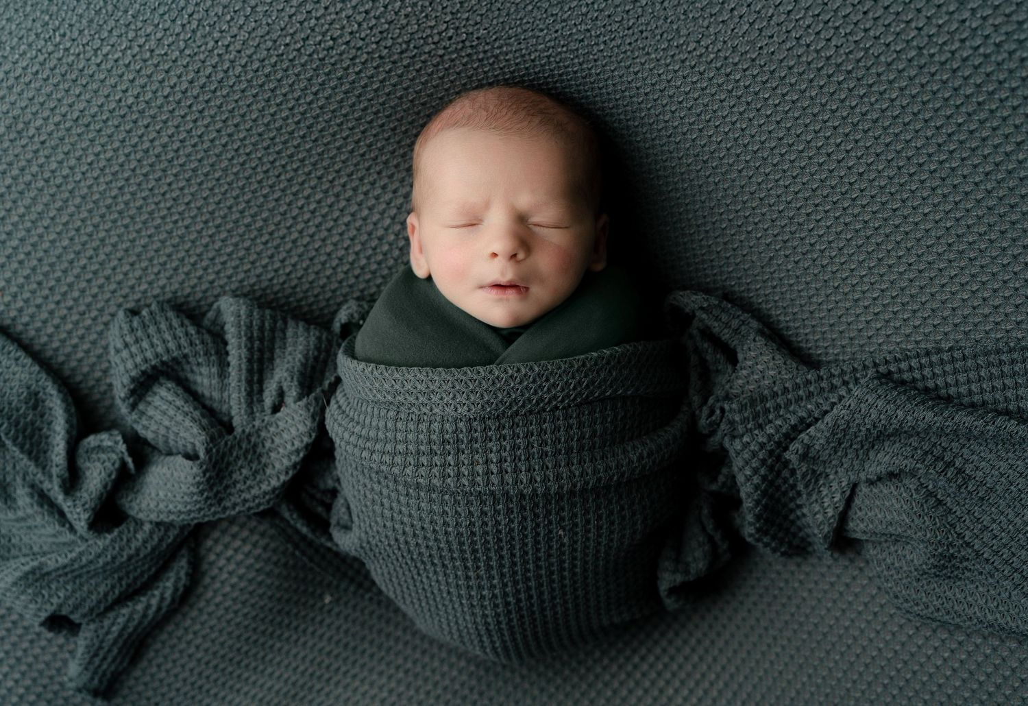 Adorable baby portrait, Hatched Newborns Madison, WI
