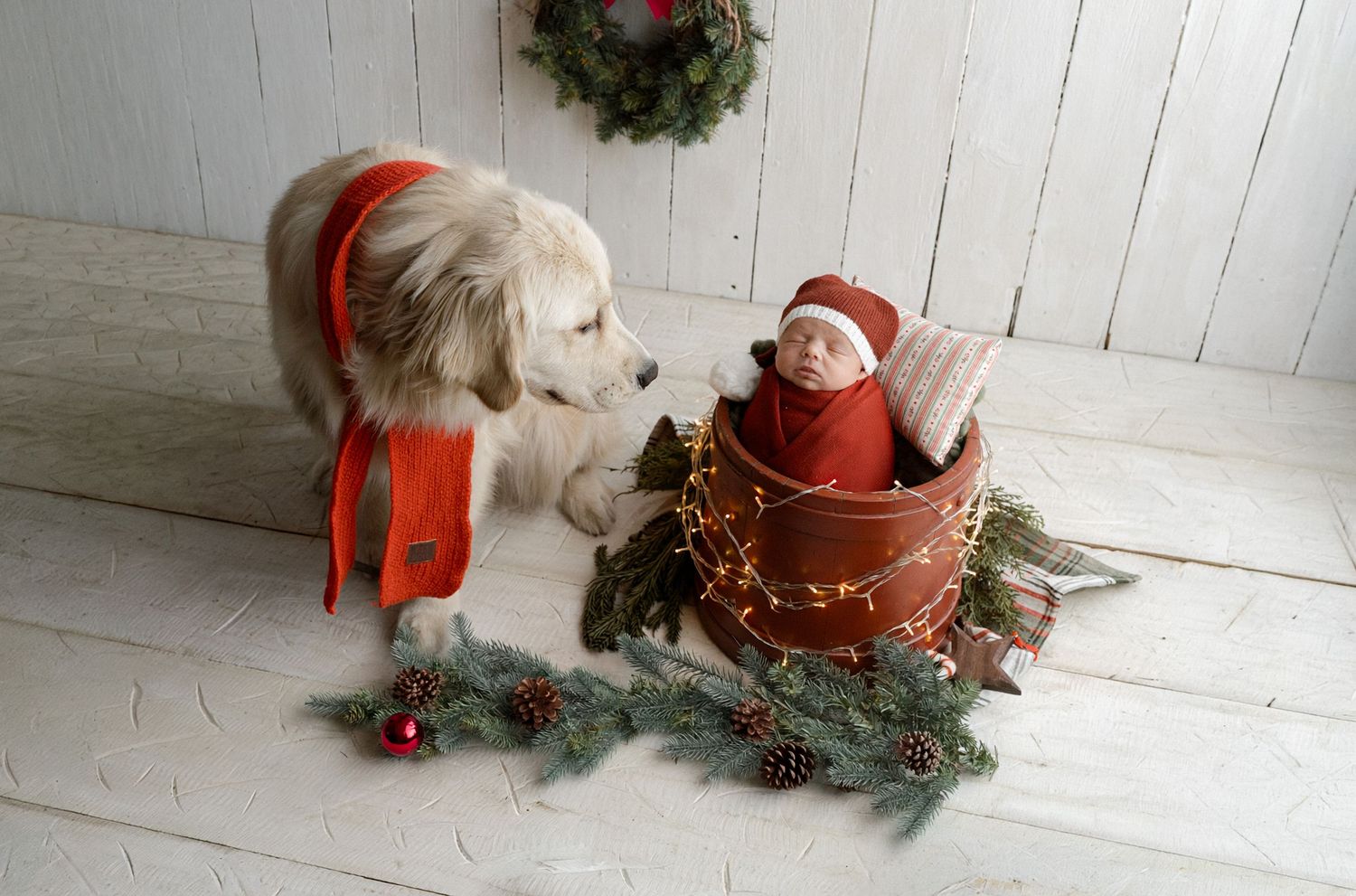 Baby dressed for Christmas with her big brother, a dog