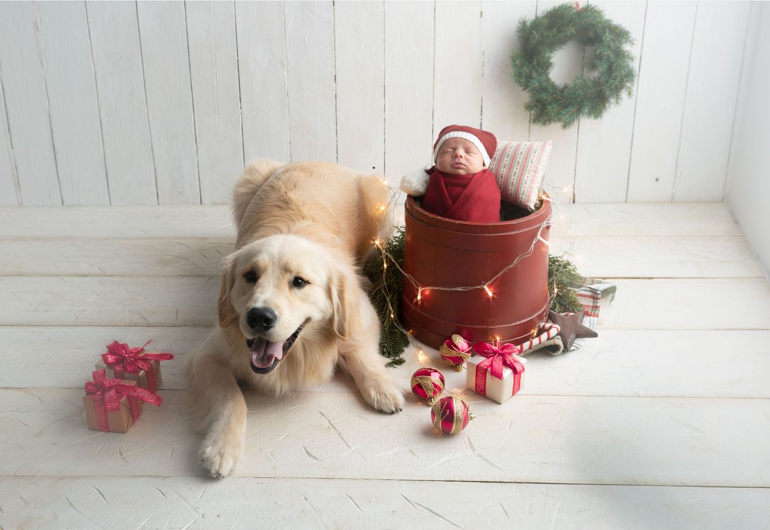 Baby dressed for Christmas with her big brother, a dog