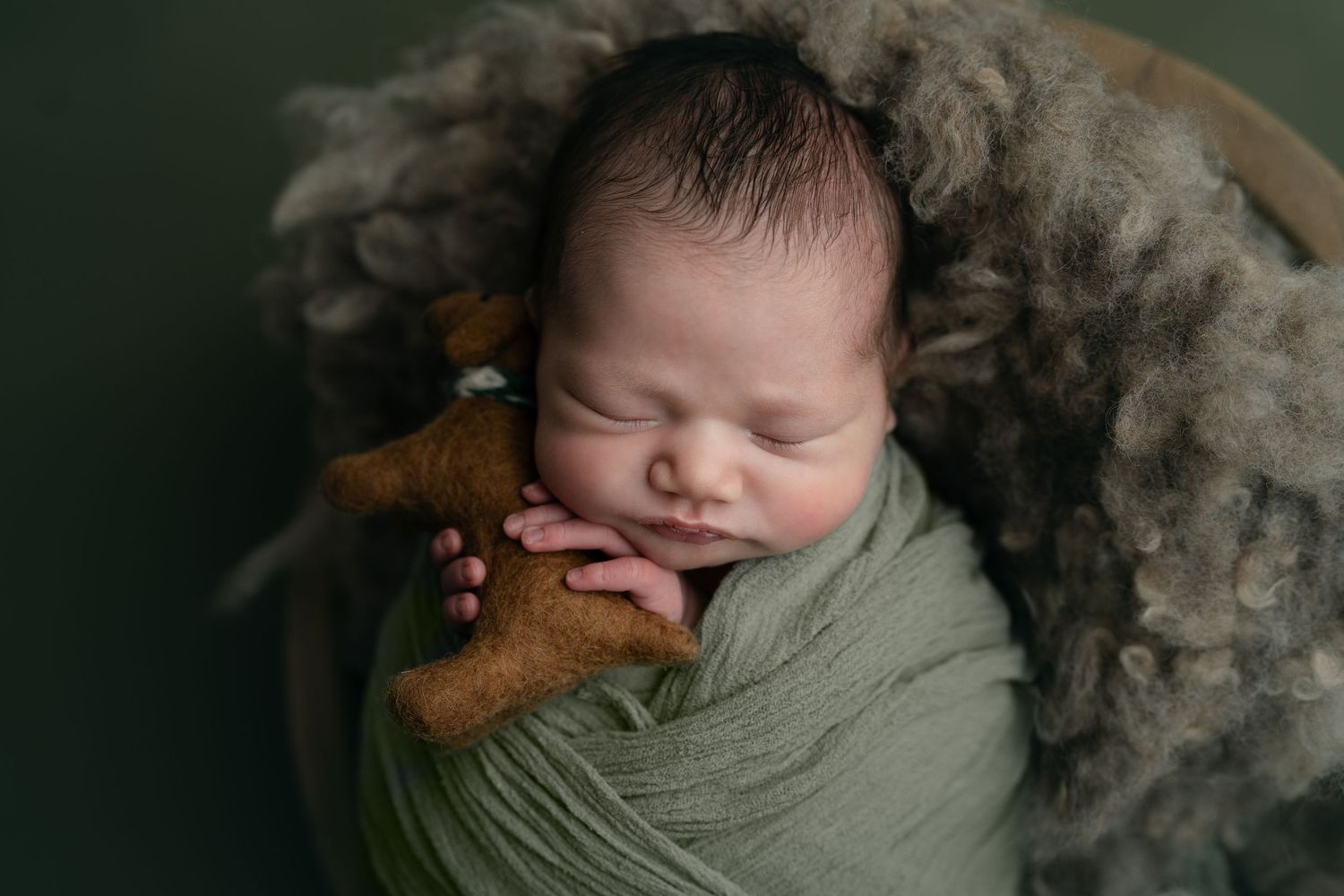 newborn snuggling a tiny dog. Baby on green backdrop. Hatched Newborn and Family Photography. Madison, Monona, Verona, Mount Horeb, WI