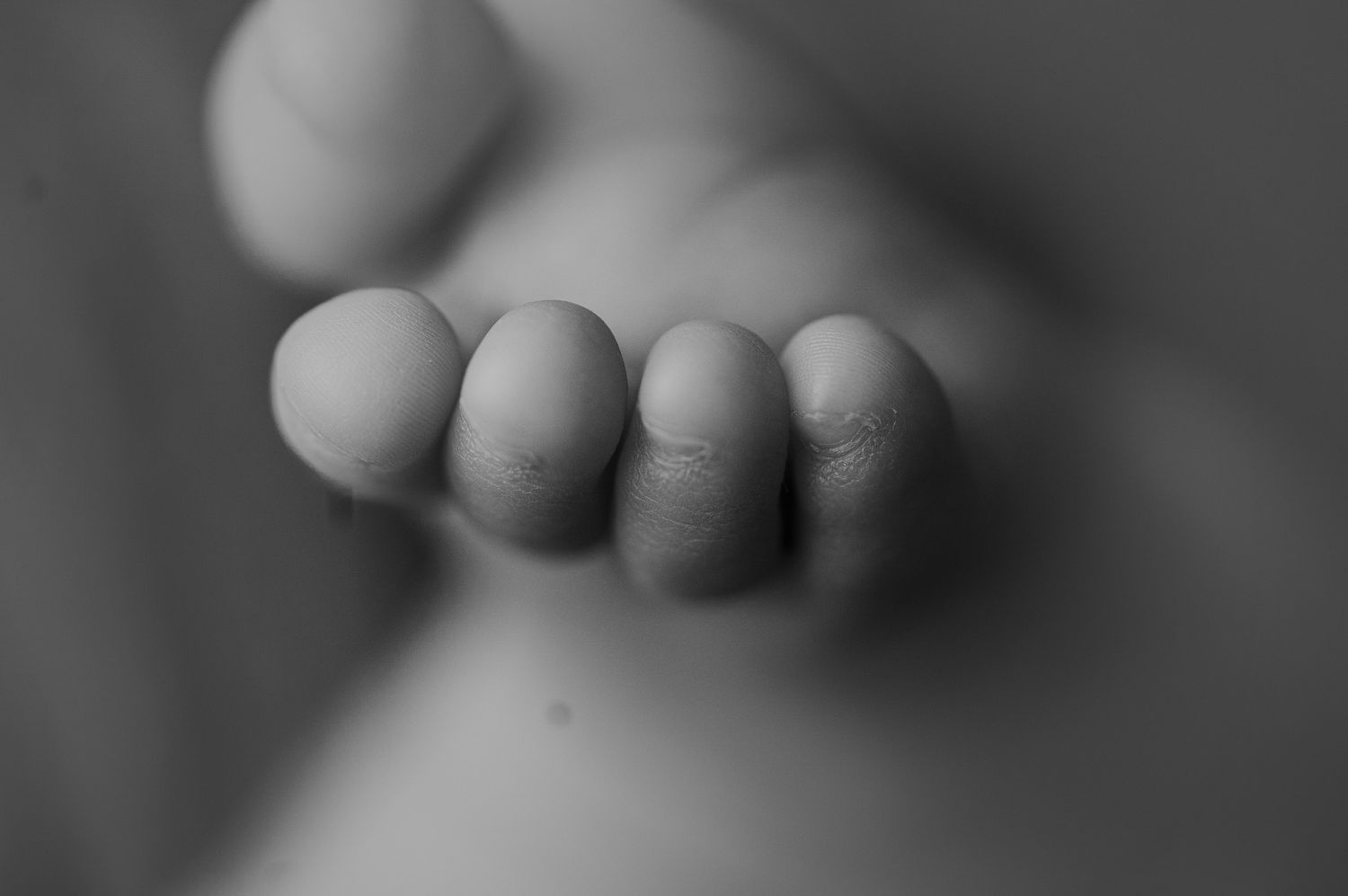 Baby toes! Madison, WI baby pictures.
