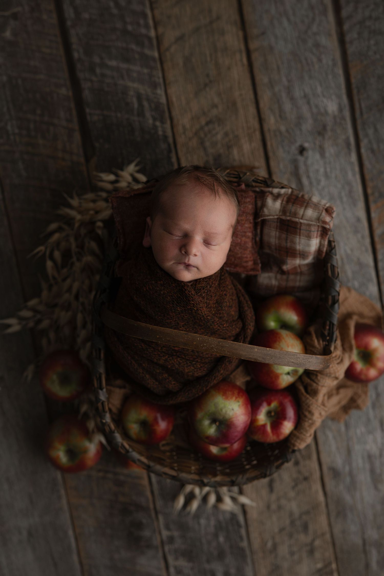 Beautiful fall photo of a baby boy in brown with apples in a basket