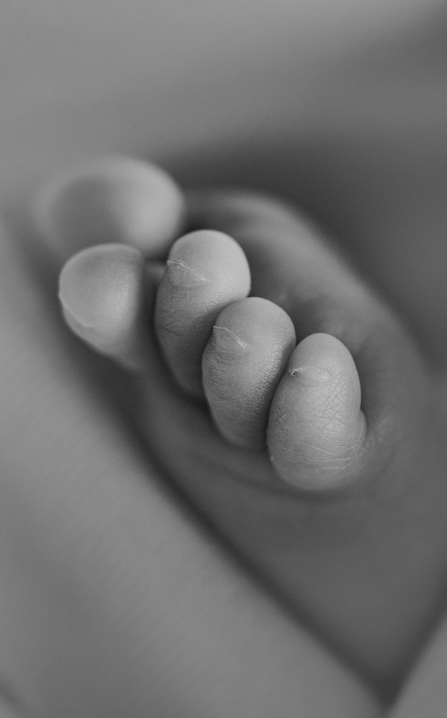 baby toes. Hatched Newborn and Family Photography. Madison, Monona, Mount Horeb, Verona, Wisconsin,