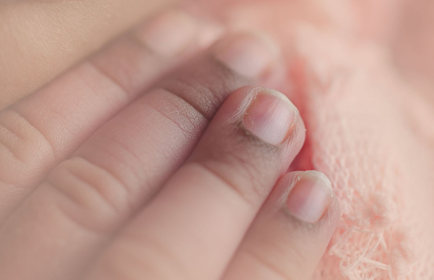 Macro image of newborn fingers. Photography by Hatched Newborns. Serving South Western Wisconsin.