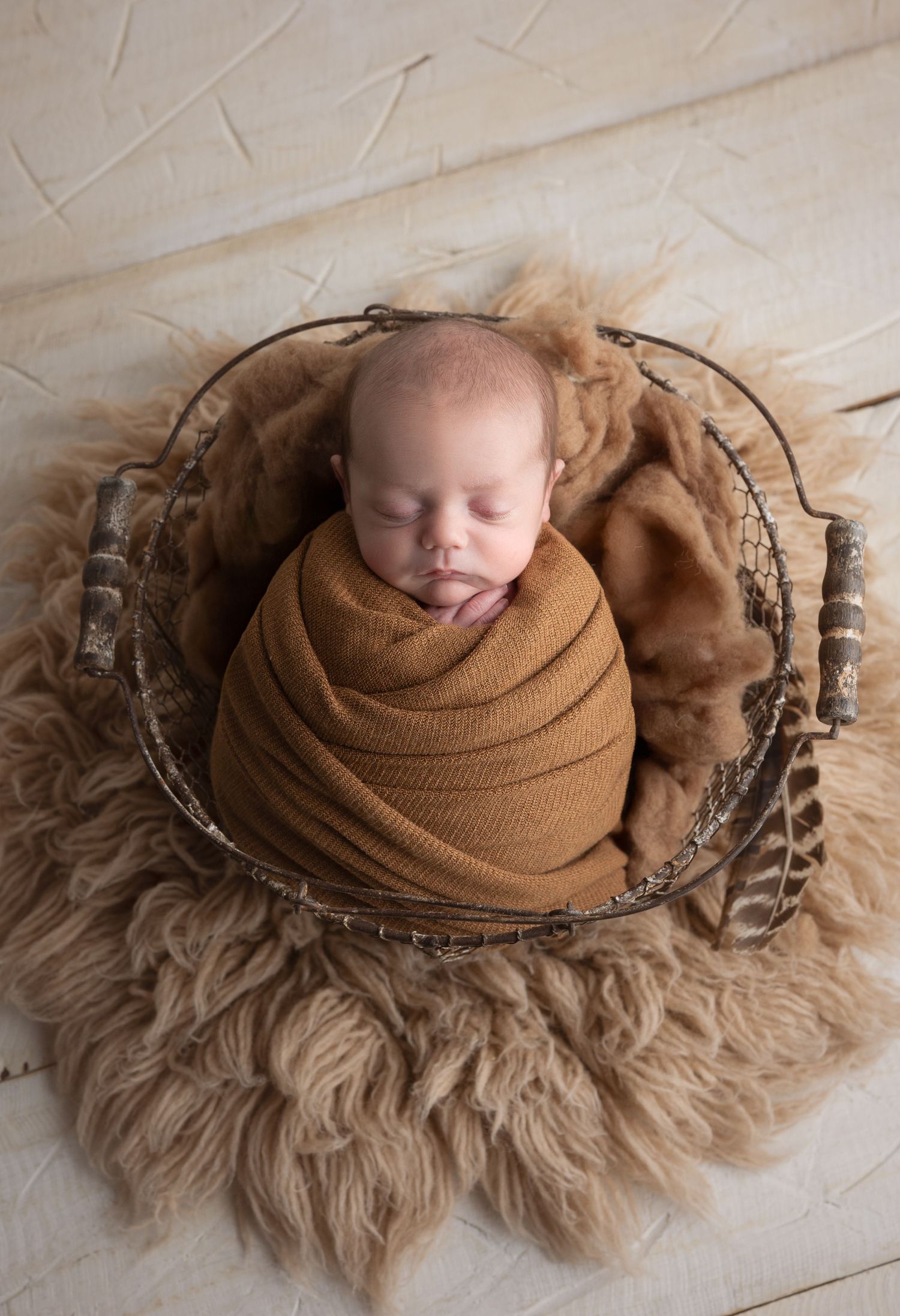 Cozy studio newborn with props, professional photography Madison, WI