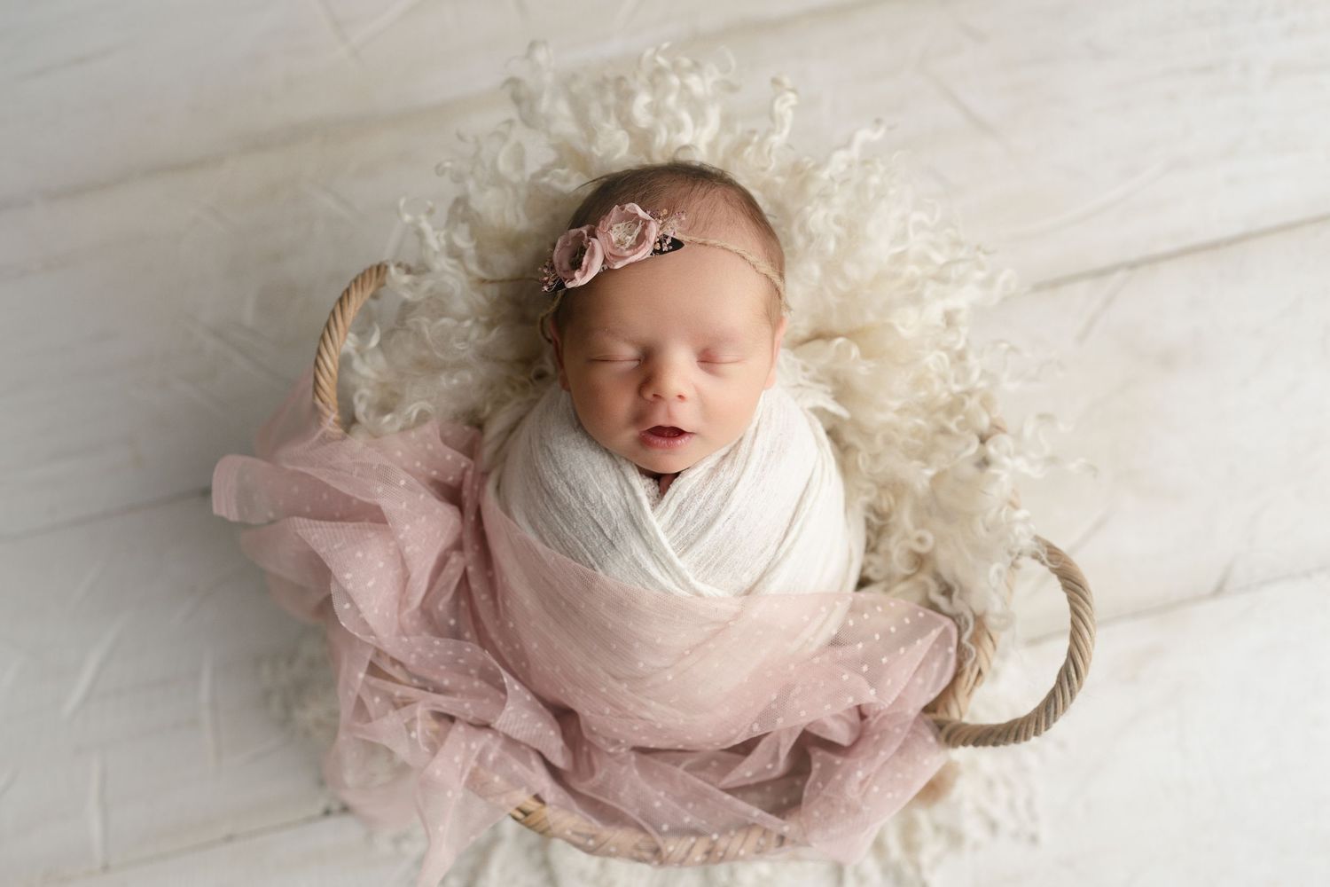 Baby in pink and cream. Hatched Newborns, Madison WI