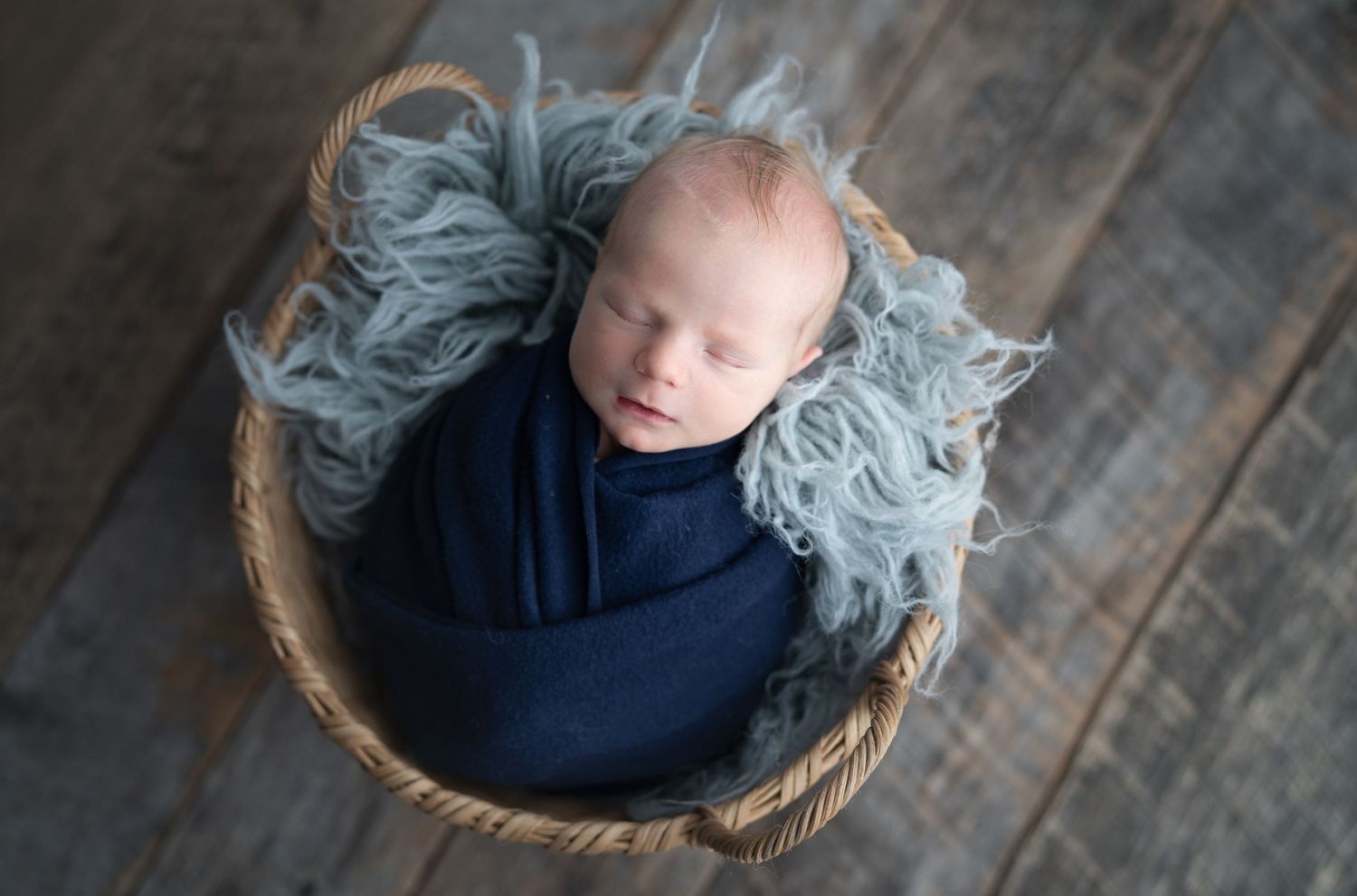 Hatched Newborn Photography, Madison WI