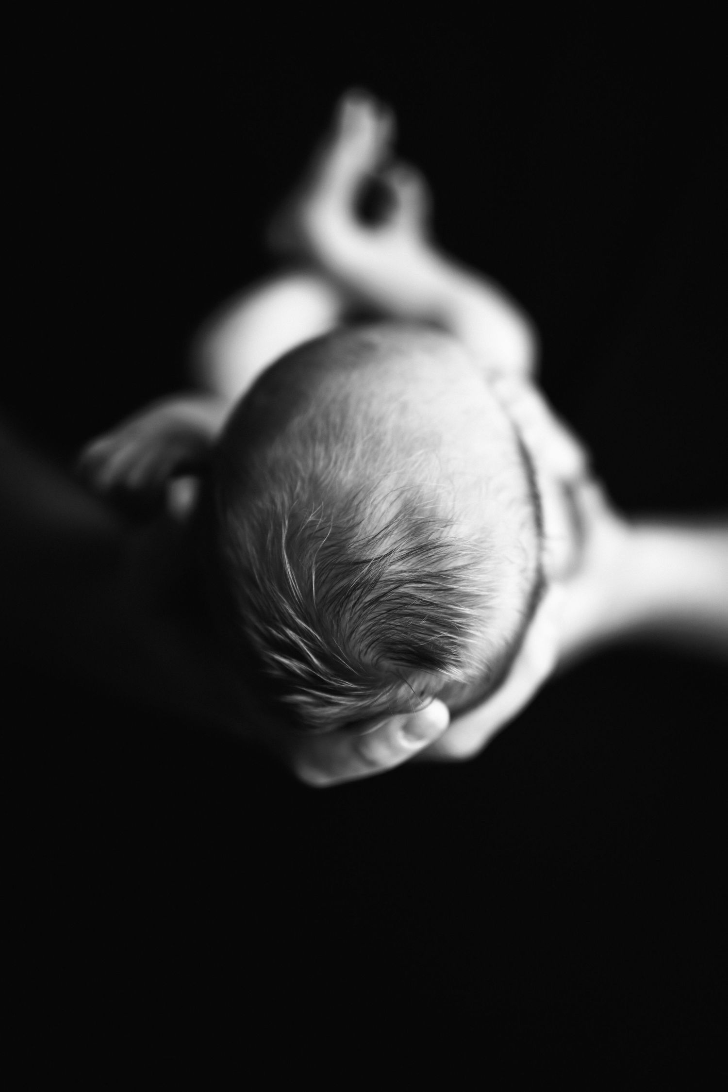 Dramatic Newborn photo. Hatched Newborns. Madison, Mount Horeb, Verona, Middleton, Wisconsin.