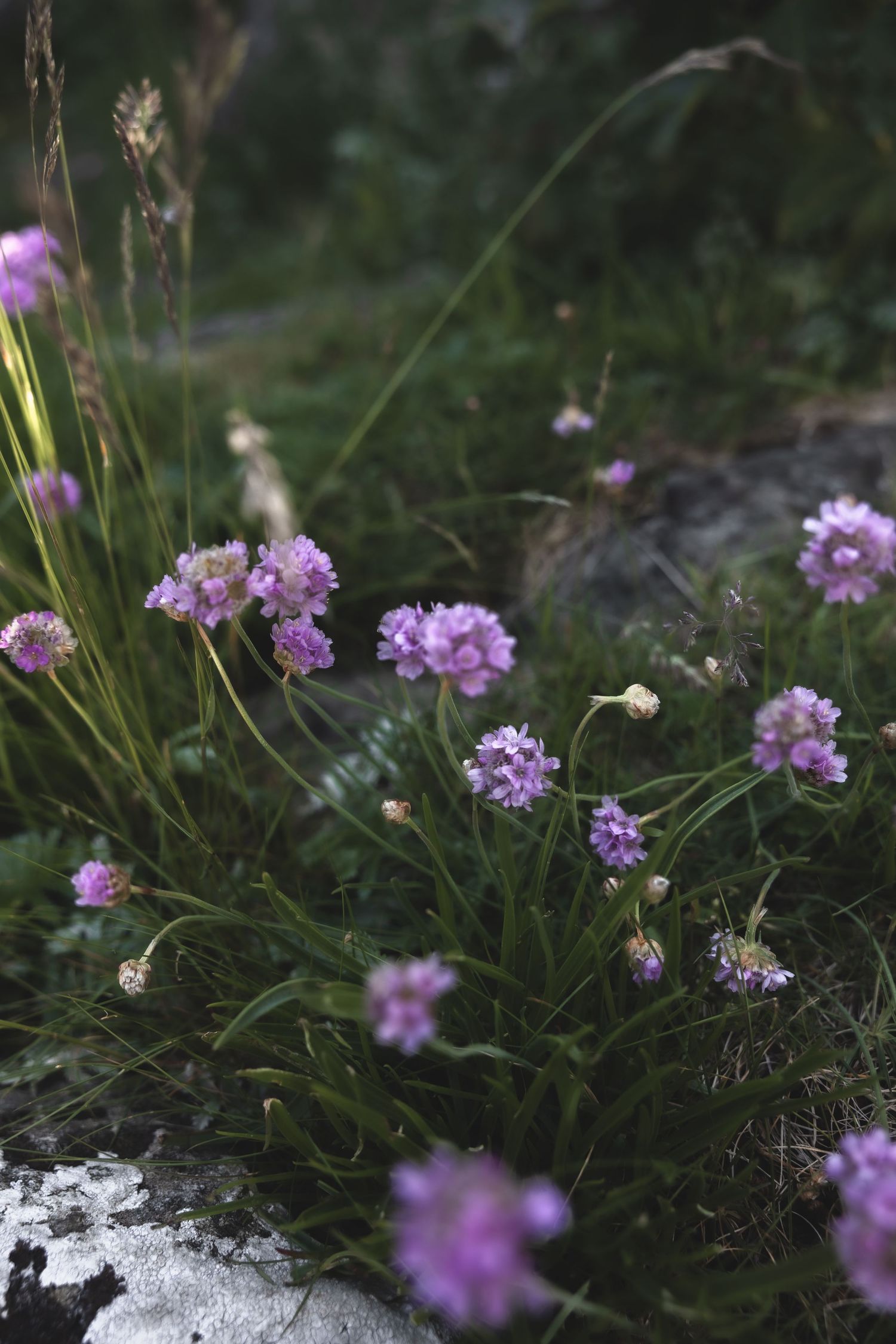 fotograf på Haugalandet, fotografering, Haugesund, Tysvær, Karmøy, Rogaland