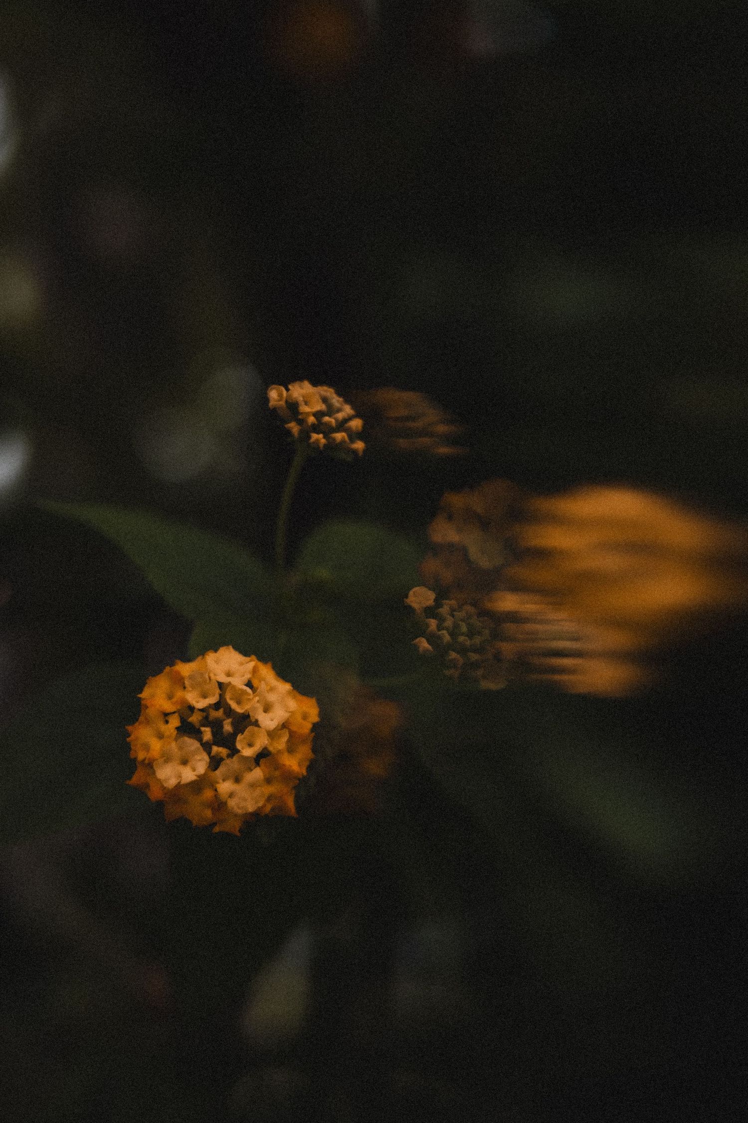 Bryllupsdetaljer fotografert av dokumentarisk bryllupsfotograf i Rogaland