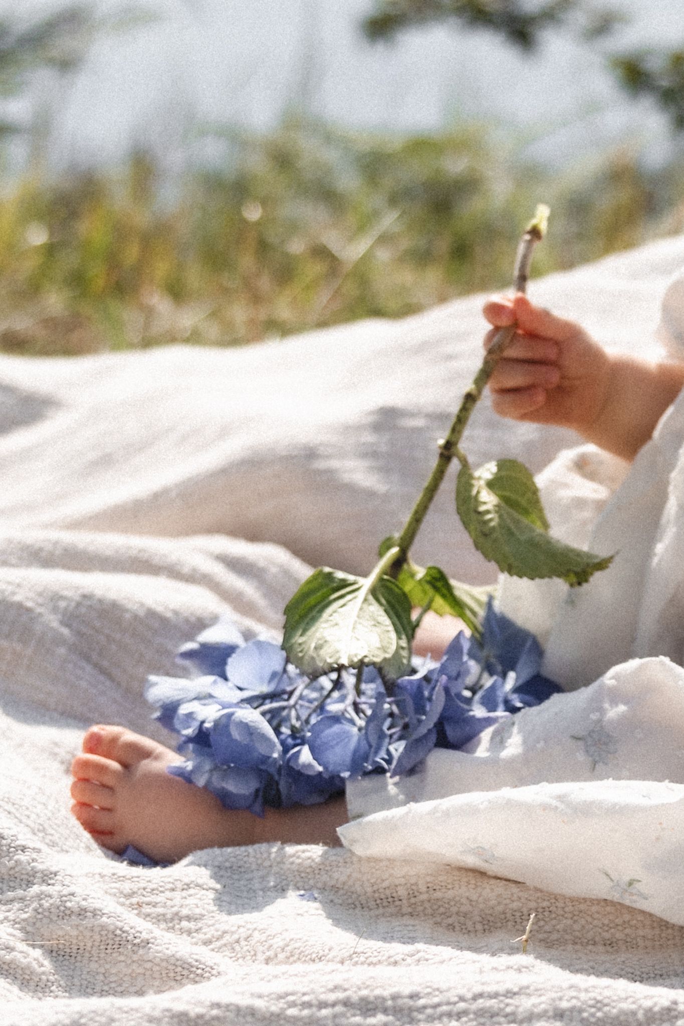1års fotografering og familiefotografering kombinert i Haugesund